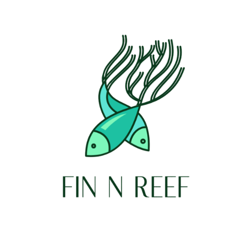 Fin N Reef